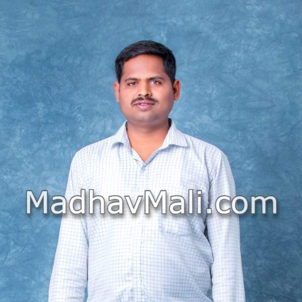 mali matrimony solapur